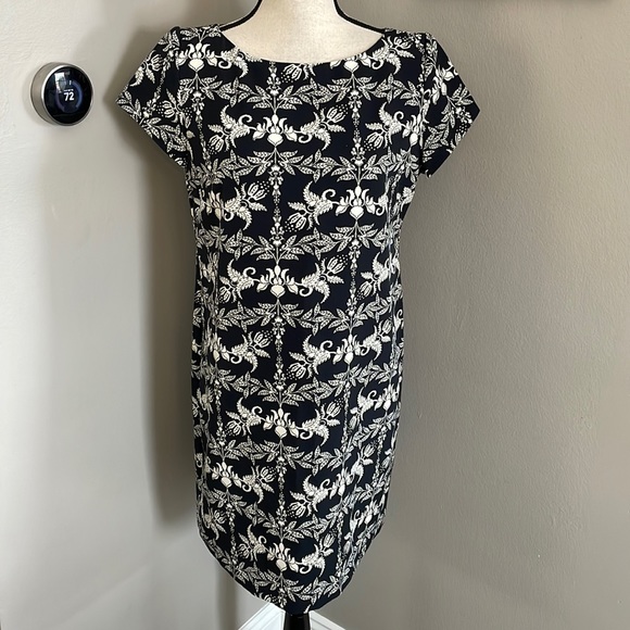 Zara Dresses & Skirts - ZARA dress